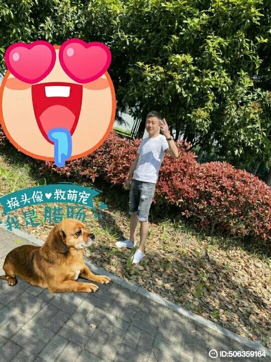 我若不坚强谁替我勇敢的第五张照片--合肥交友中心